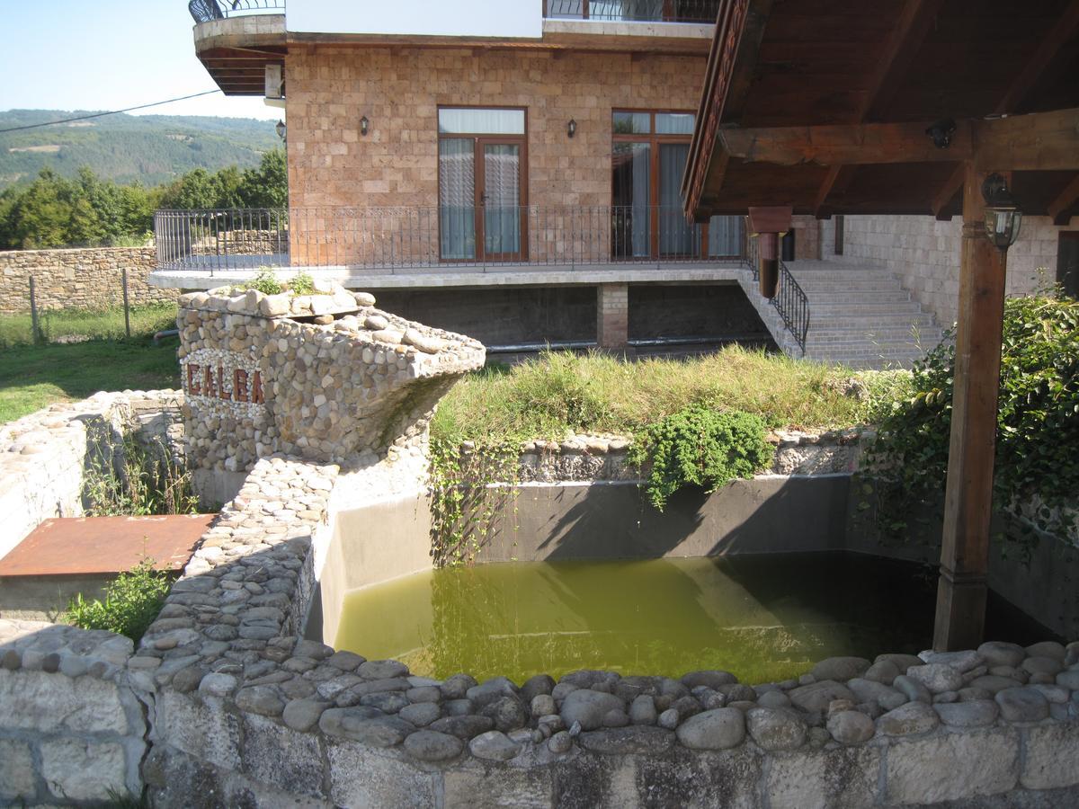 Guest House Galba Bruchkovtsi Ngoại thất bức ảnh